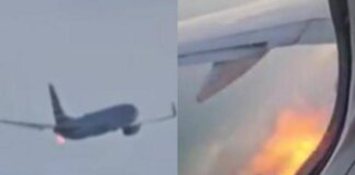 Fiamme da un aereo American Airlines dopo il decollo e atterraggio d’emergenza: “Uccelli hanno colpito il motore”