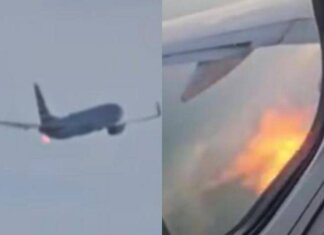 Fiamme da un aereo American Airlines dopo il decollo e atterraggio d’emergenza: “Uccelli hanno colpito il motore”