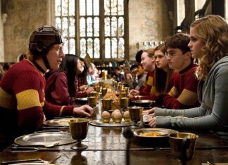 Harry Potter, la protesta dei fan: spostato il cavo sottomarino per la ‘tomba’ di Dobby