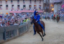 Palio di Siena, vince il Nicchio dopo 28 anni. Paura per il fantino Tittia, caduto dopo l’arrivo