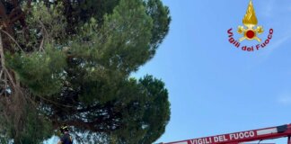 Casentino e Arezzo città colpiti dal maltempo: superlavoro per i vigili del fuoco