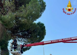 Casentino e Arezzo città colpiti dal maltempo: superlavoro per i vigili del fuoco