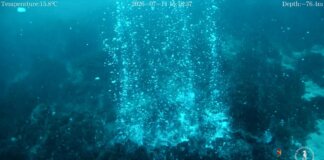 Scoperti un cratere di 100 metri e nuovi camini idrotermali a Panarea