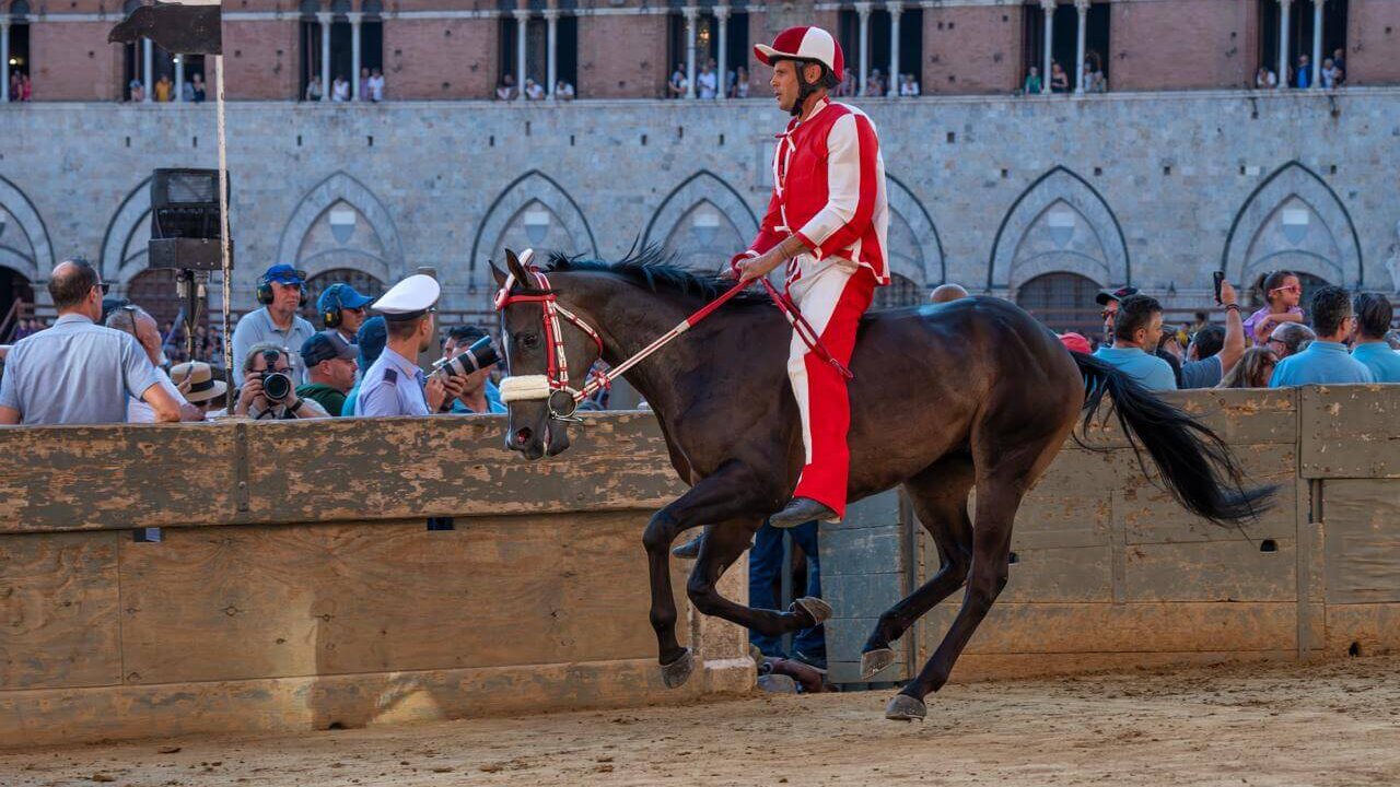 palio la giraffa vince la seconda prova l8217ordine di partenza e i binomi scelti dalle contrade da Corrieretoscano.it palio la giraffa vince la seconda prova l8217ordine di partenza e i binomi scelti dalle contrade