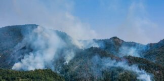 Un’altra giornata di incendi di bosco, dalla Toscana al Mugello