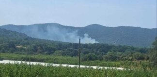Incendio lungo la strada provinciale Castiglione-Punta Ala