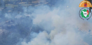 Incendio di bosco a Castell’Azzara: in azione vigili del fuoco e volontari Aib