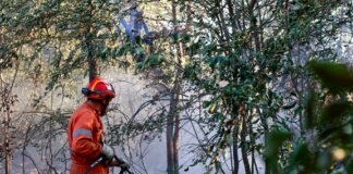 Incendi di bosco a Firenzuola e Torre del Lago sotto controllo e in bonifica