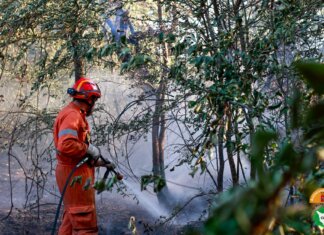 Incendi di bosco a Firenzuola e Torre del Lago sotto controllo e in bonifica