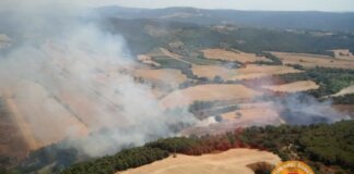 Incendi di bosco anche a Massa Marittima e ad Anghiari