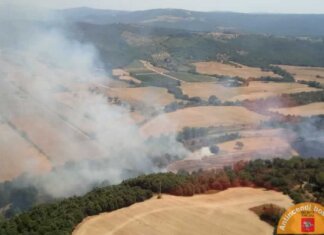 Incendi di bosco anche a Massa Marittima e ad Anghiari