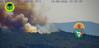 Fiamme di bosco a San Donato in Poggio: in azione l’antincendio boschivo