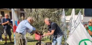 A Pontida il tributo a Bossi: Calderoli e Leoni piantano un ulivo e cantano ‘Va pensiero’