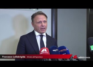 Agricoltura, Lollobrigida: “L’UE cambi passo su competitività e fondi, difesi 9 miliardi per