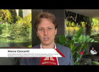 Attrv-Pn, Ceccanti (La Sapienza): “In Italia circa 6 casi per milione di persone”