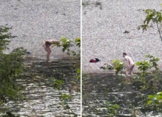 Bagno senza veli nel Brenta, due uomini entrano in acqua nonostante il divieto