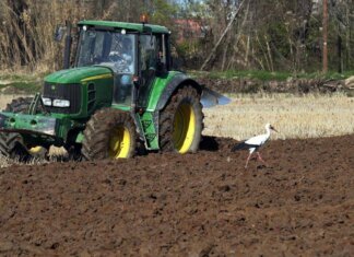 Caro carburanti ed energia, Filiera Italia lancia l’allarme: “Agricoltori schiacciati tra alti costi di produzione e prezzi bassi”