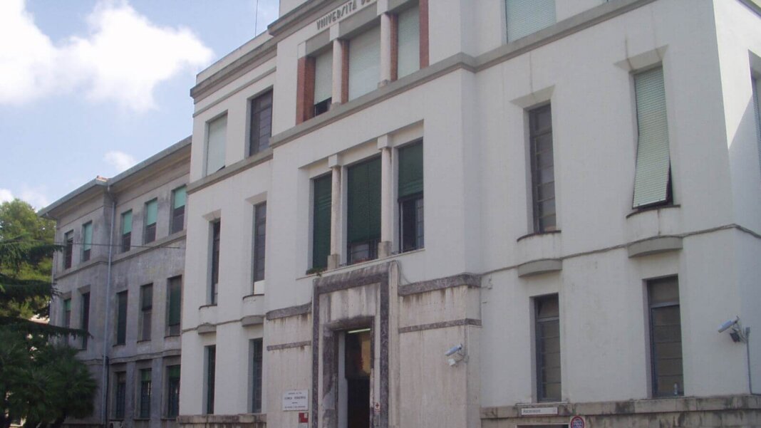 Azienda Ospedaliero Universitaria Pisana