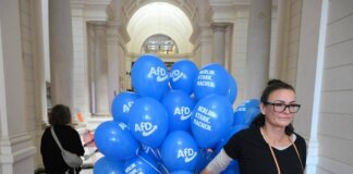 Elezioni Germania, exit poll: AfD avanti in Meclemburgo e Die Linke a Berlino. Cdu crolla