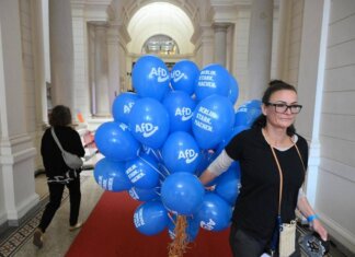 Elezioni Germania, exit poll: AfD avanti in Meclemburgo e Die Linke a Berlino. Cdu crolla