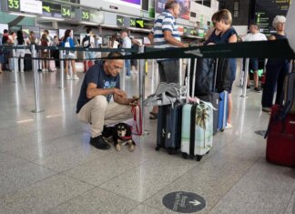 Etna, aeroporto di Catania chiuso: voli sospesi fino alle 12 di lunedì 28 settembre