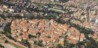 Olivicoltura e crediti di carbonio: parte da Grosseto il progetto toscano Evoca