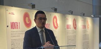 Inselvini (FdI) a Just Euman: “Difendiamo vita contro chi vuole aborto finanziato”