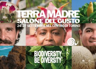 Ismea a Terra Madre 2026, olio di oliva e Indicazioni geografiche al centro del programma