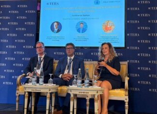 Lavoro: Teha, serve strategia nazionale per attrarre e valorizzare i talenti