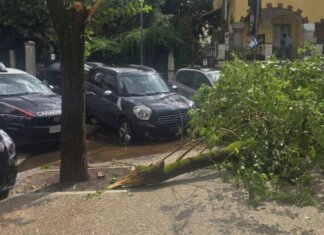 Maltempo a Roma, ramo cade fuori liceo a Coppedè: feriti 3 studenti