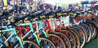Mobilità, meno emissioni e più alberi con ‘Magis bike Challenge’