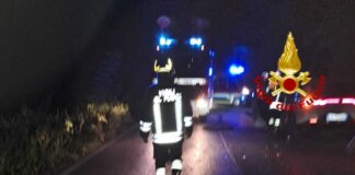 Cinghiale attraversa la strada e provoca un incidente a catena: 4 feriti
