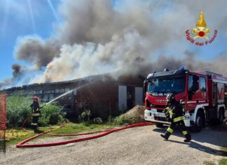 Distrutto da un incendio il capannone di un’azienda di pollame