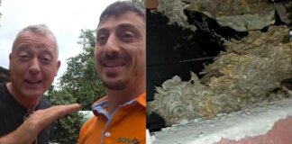Pierluigi Diaco e Alessio Orsingher punti dalle vespe in casa, interviene il disinfestatore: “Nido enorme”