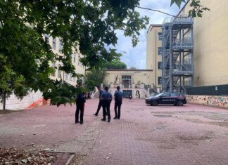 Prof accoltellata, informativa anche a pm piazzale Clodio: indagini su possibili istigatori