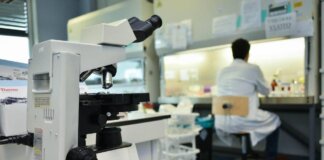 Ricerca, in Italia nel 2024 autorizzati 669 studi clinici: “Serve nuovo modello per ridefinire valore dati sanitari”