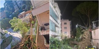 Roma, pino secolare cade su un palazzo in zona Salaria: residenti bloccati