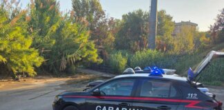 Roma, trovato cadavere in un parco di Tor Sapienza: sul corpo ferite da arma da taglio