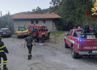 Cade e muore mentre cerca funghi nell’Aretino: tragedia nei boschi
