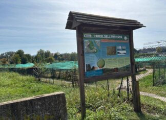 Torino, presunto abuso al parco dell’Arrivore: FdI chiede chiarimenti al Comune
