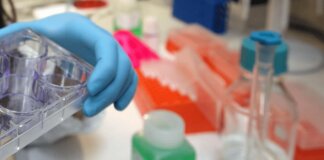 Tumori, al via studio per ridurre rischio recidive da cancro al seno