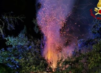 Tempesta di fulmini: incendi e alberi caduti a Monteriggioni