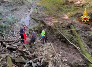 Cade in un canale di pietre mentre cerca funghi: soccorso dai vigili del fuoco