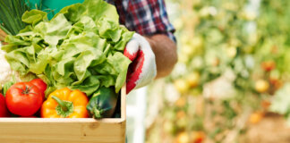 Agroalimentare e pesca, l’allarme di Confcooperative Toscana: il caro energia ferma la produzione