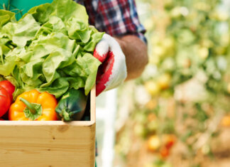 Agroalimentare e pesca, l’allarme di Confcooperative Toscana: il caro energia ferma la produzione