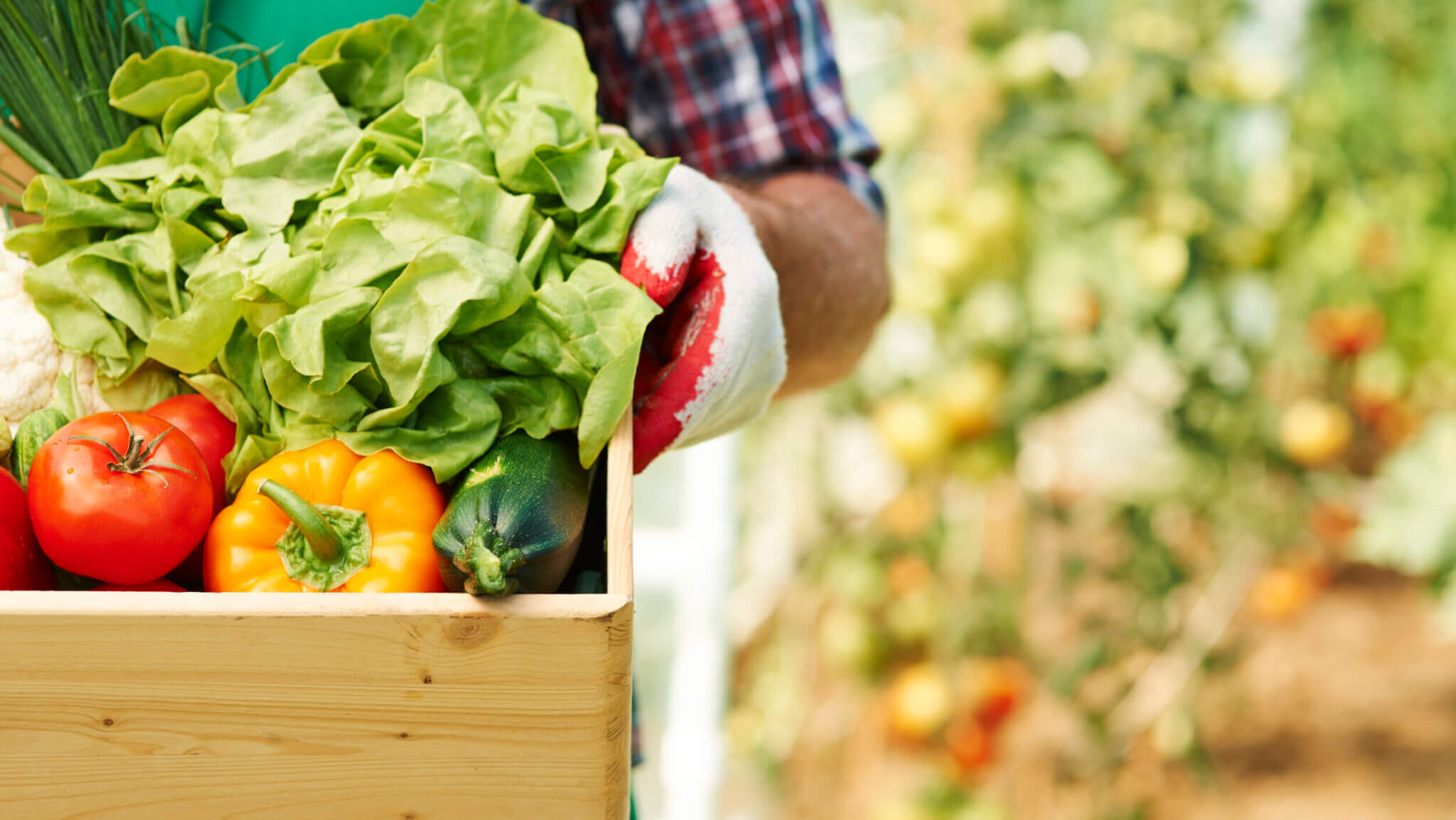 agroalimentare e pesca l8217allarme di confcooperative toscana il caro energia ferma la produzione da Corrieretoscano.it agroalimentare e pesca l8217allarme di confcooperative toscana il caro energia ferma la produzione