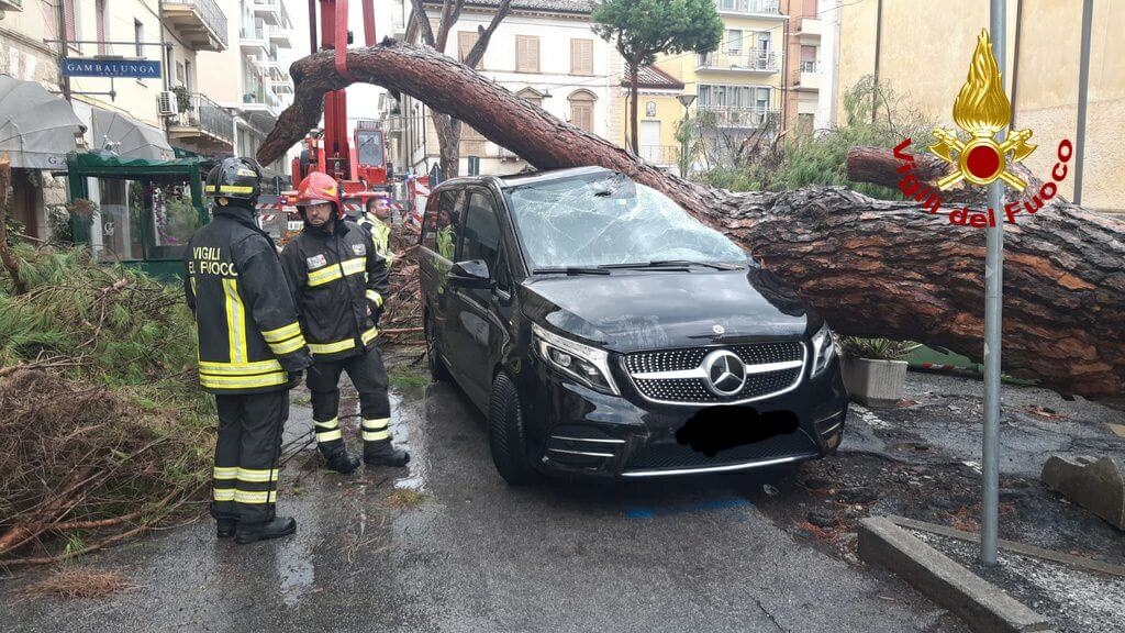 danni sulla costa versiliese per la tempesta di pioggia e vento tetti scoperchiati e alberi caduti da Corrieretoscano.it danni sulla costa versiliese per la tempesta di pioggia e vento tetti scoperchiati e alberi caduti