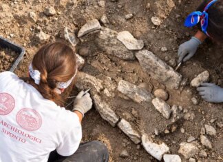Trovati i resti di 7-8 neonati nel cimitero medievale: la scoperta negli scavi di Siponto ArcheoSipontum