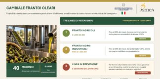 Agricoltura, Ismea: 40 mln per frantoi con ‘Cambiale Frantoi Oleari’