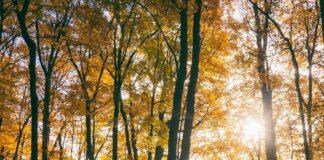 Ancora sole al Centro-Nord, maltempo in arrivo al Sud nel fine settimana: temperature in discesa